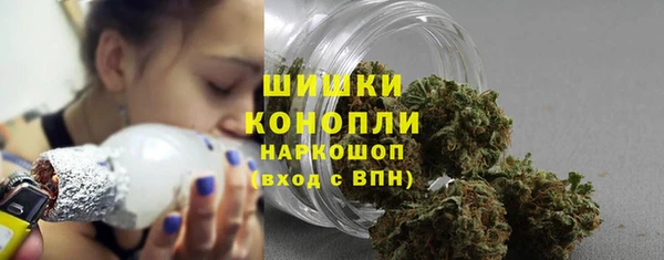ГАЛЛЮЦИНОГЕННЫЕ ГРИБЫ Покачи
