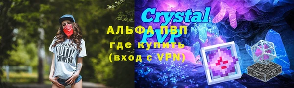 ГАЛЛЮЦИНОГЕННЫЕ ГРИБЫ Покачи