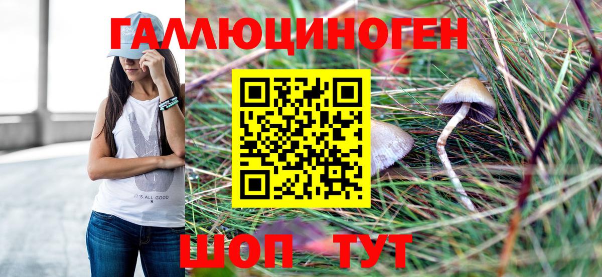 Галлюциногенные грибы Cubensis  Вход с VPN  Галлюциногенные грибы Magic Shrooms  Асино 