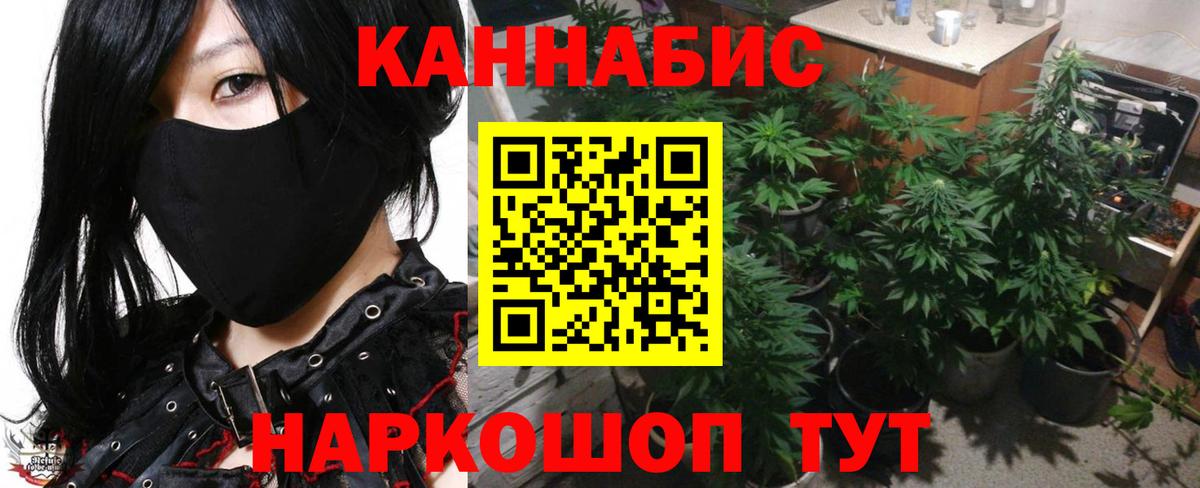 Каннабис марихуана Асино